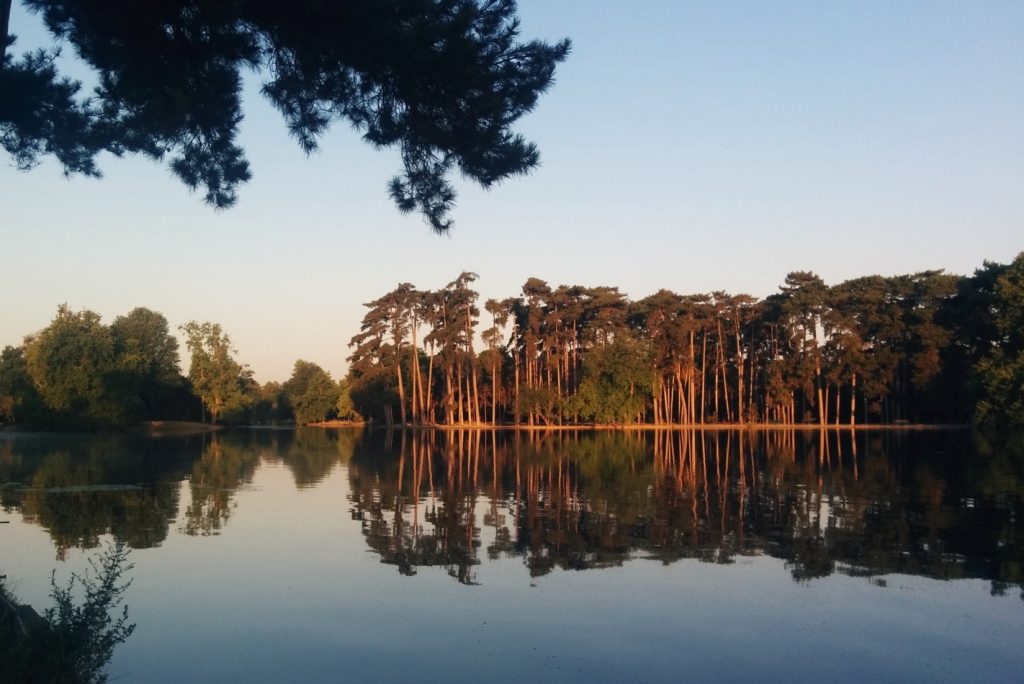 sunset-course-boulogne